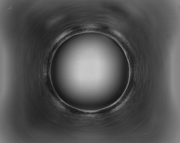 X0000085051017200703051412