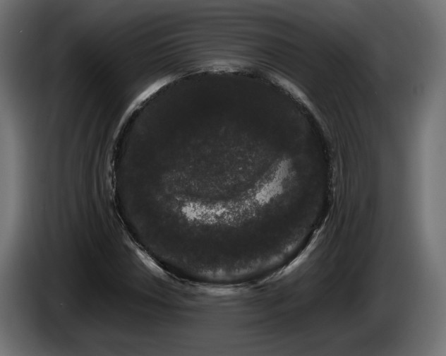 X0000085051018200703051412