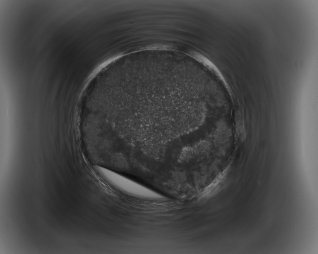 X0000085051019200703051412
