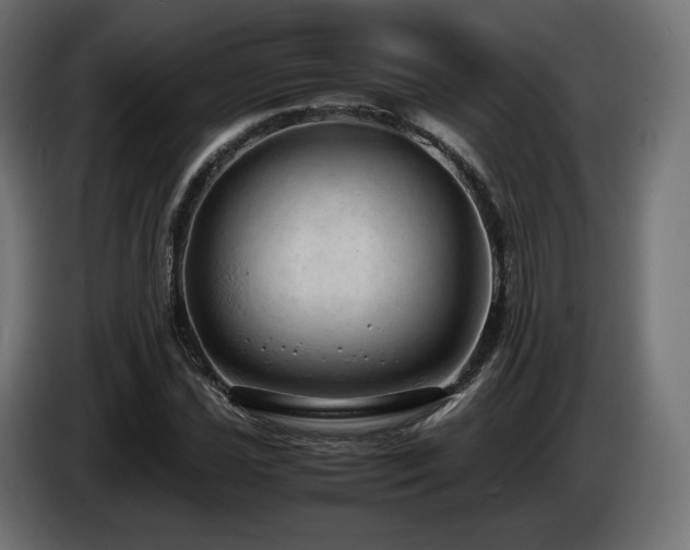 X0000085051021200703051412