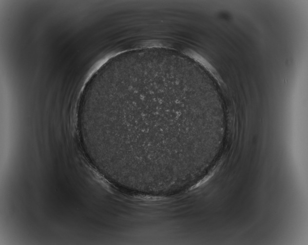 X0000085051023200703051412