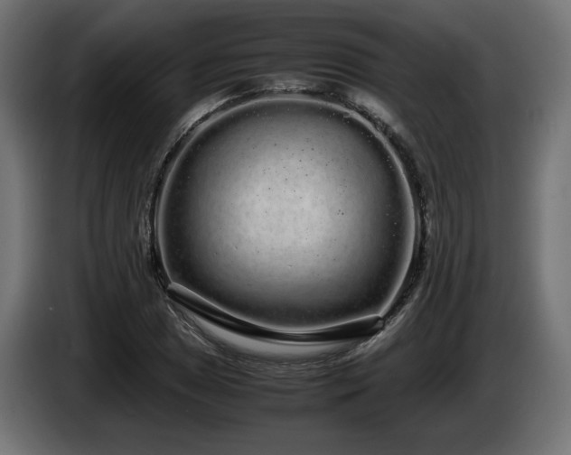 X0000085051025200703051412