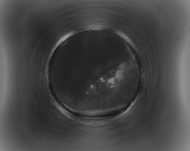 X0000085051026200703051412