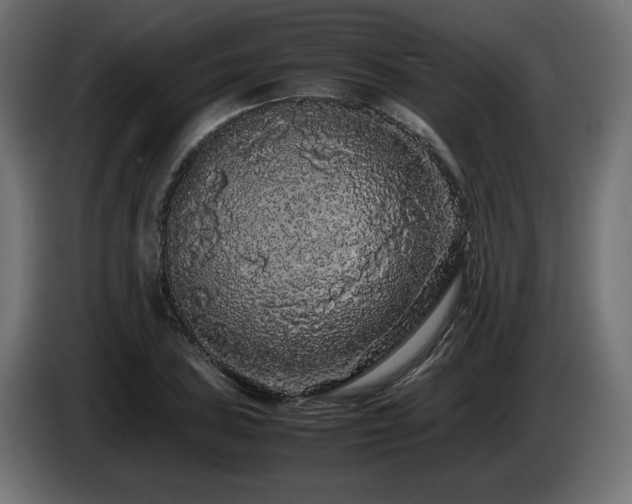 X0000085051027200703051412