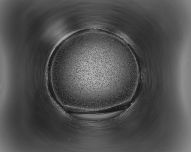 X0000085051028200703051412