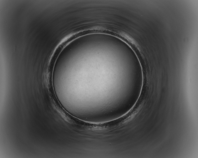 X0000085051029200703051412
