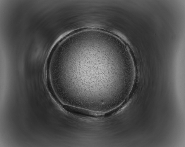 X0000085051032200703051412