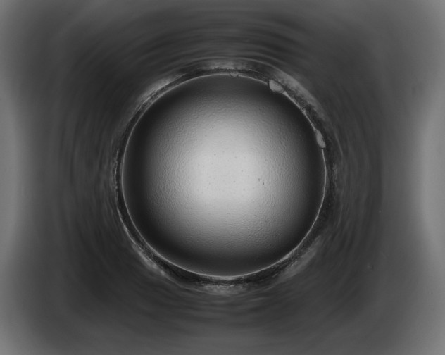 X0000085051033200703051412