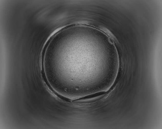 X0000085051036200703051412