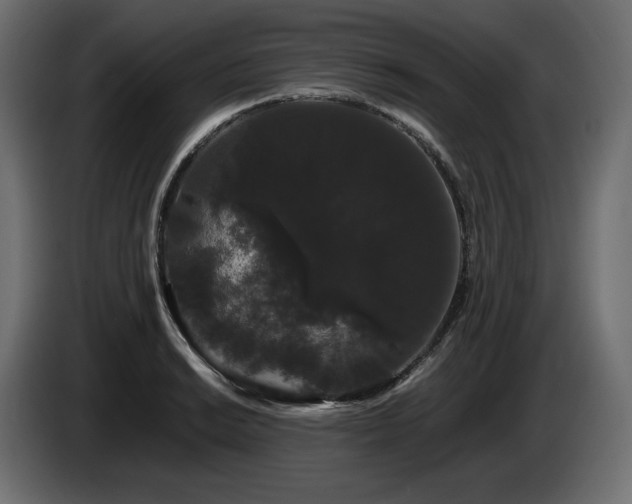 X0000085051038200703051412