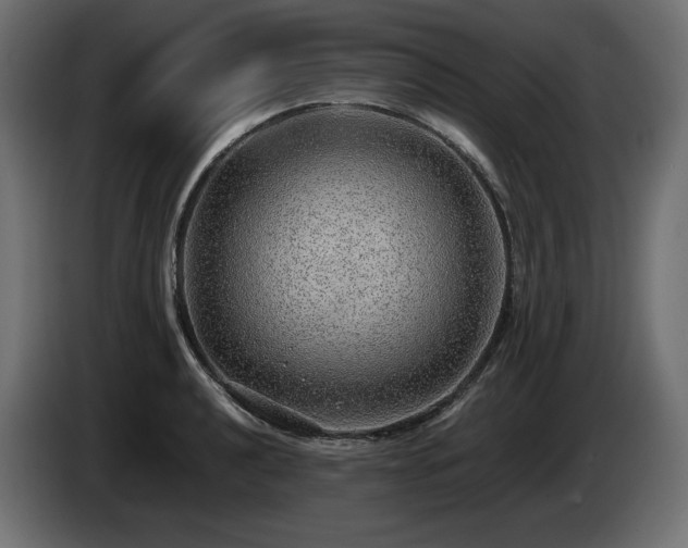 X0000085051040200703051412