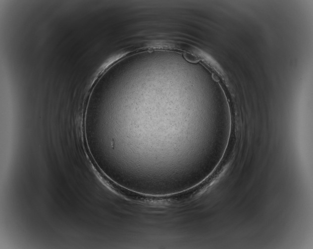 X0000085051041200703051412