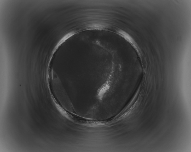 X0000085051042200703051412