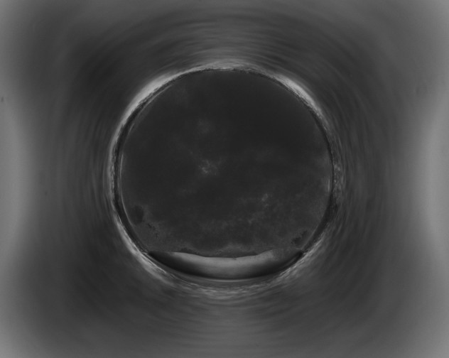 X0000085051046200703051412