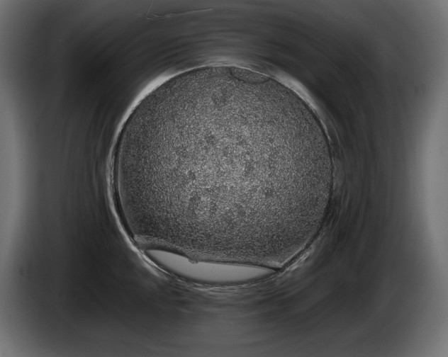 X0000085051048200703051412
