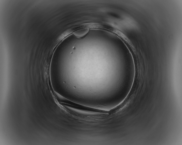 X0000085051049200703051412