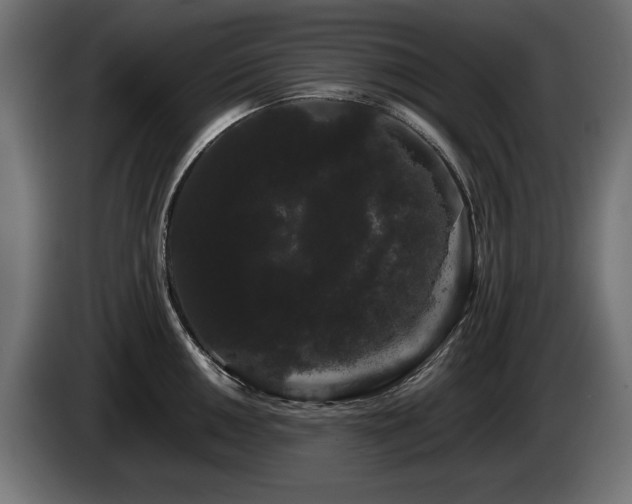 X0000085051050200703051412