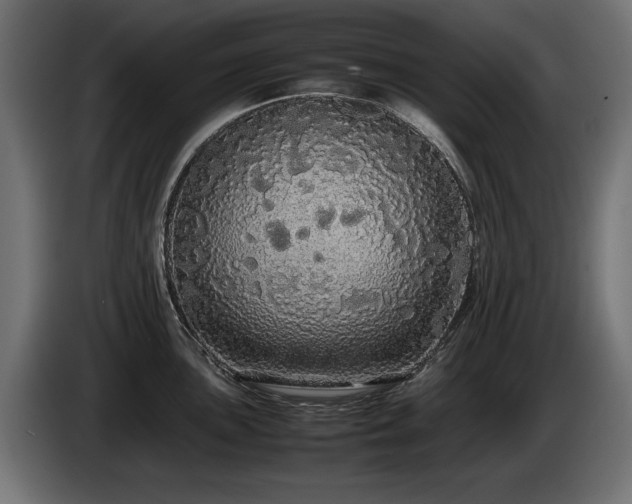 X0000085051051200703051412