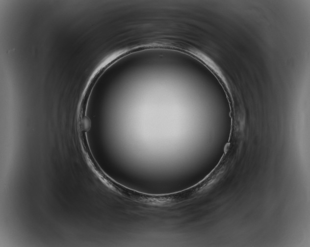 X0000085051053200703051412