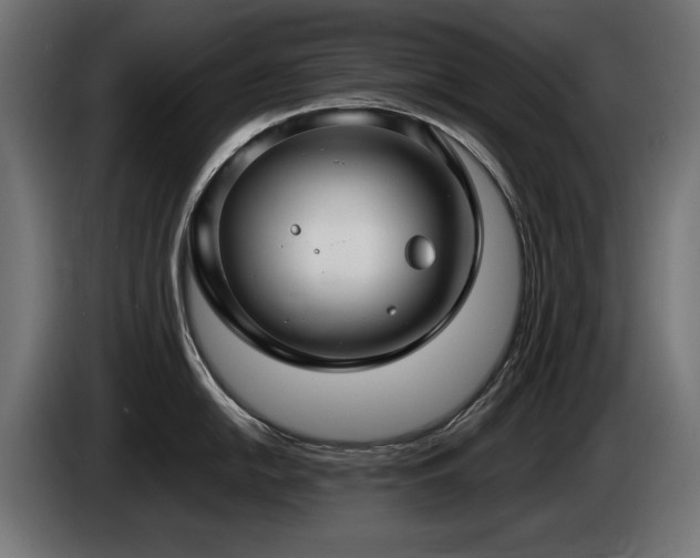 X0000085051054200703051412