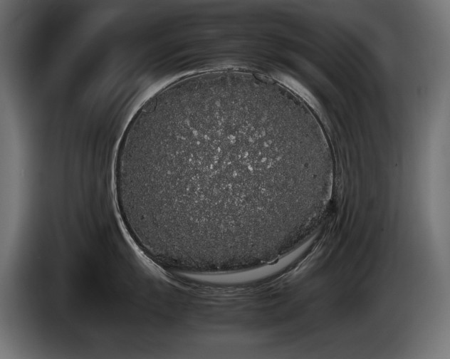 X0000085051055200703051412