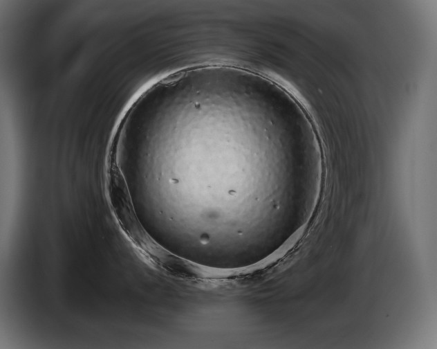X0000085051056200703051412