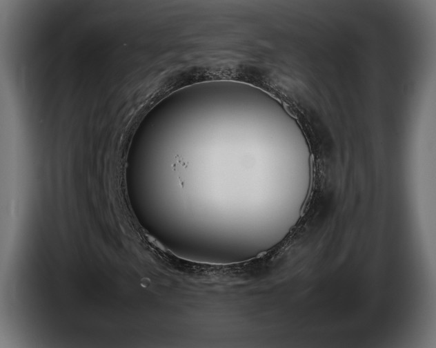 X0000085051057200703051412