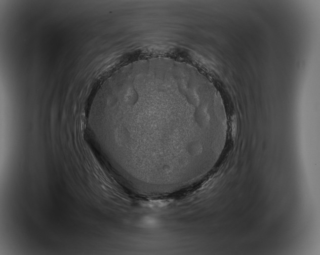 X0000085051059200703051412