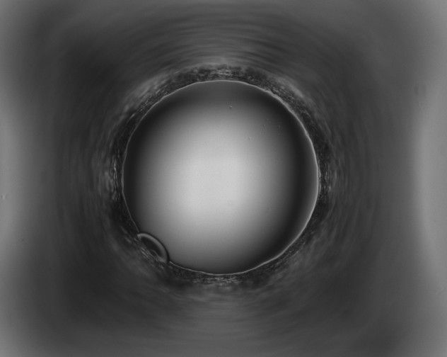 X0000085051062200703051412