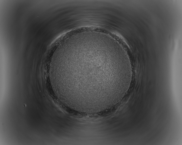 X0000085051064200703051412