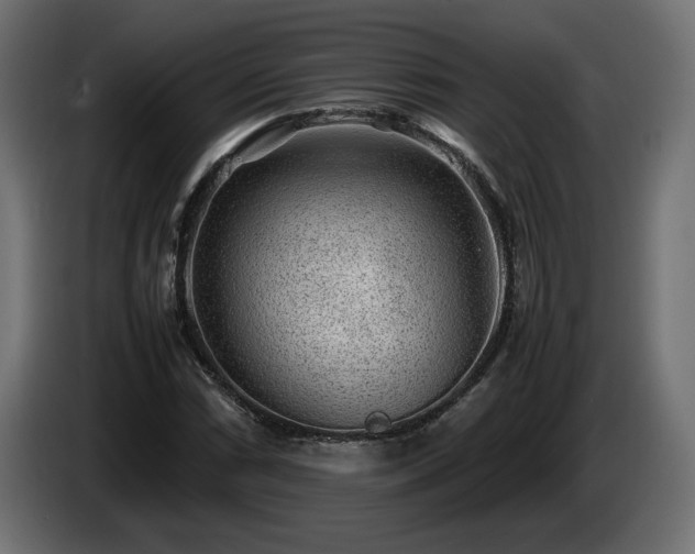 X0000085051066200703051411