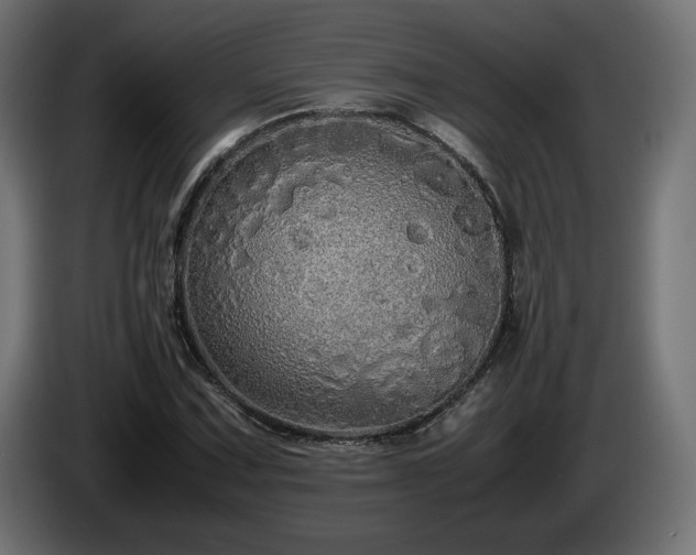X0000085051067200703051411
