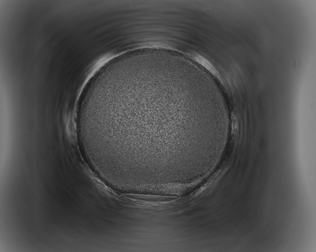 X0000085051068200703051411