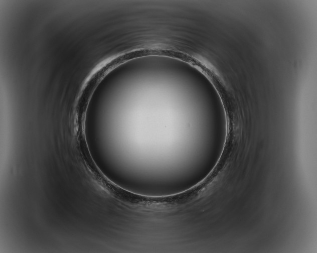 X0000085051070200703051411