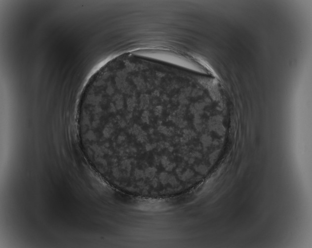 X0000085051071200703051411