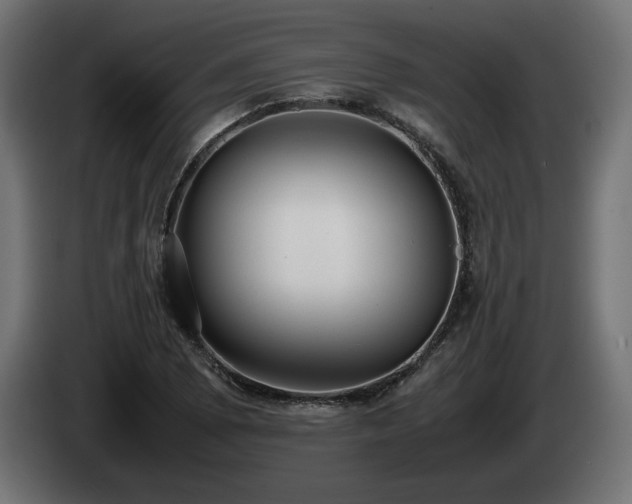 X0000085051073200703051411