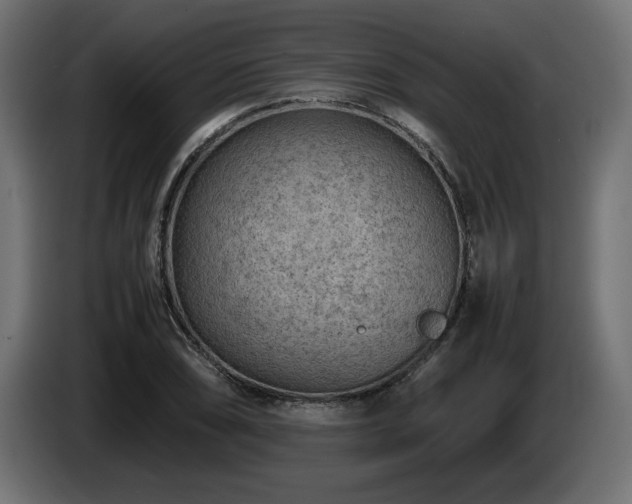 X0000085051074200703051411