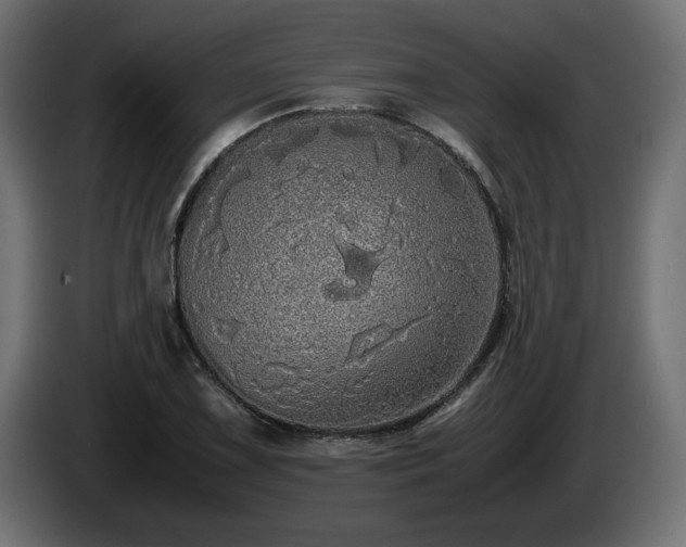 X0000085051075200703051411