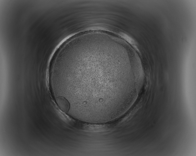 X0000085051076200703051411