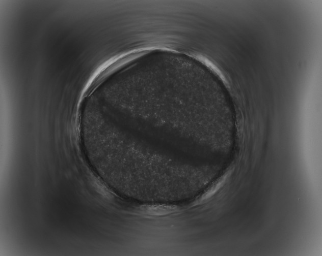 X0000085051077200703051411