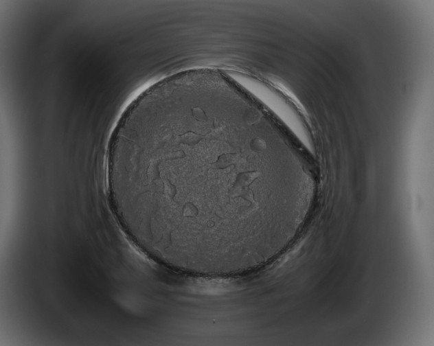 X0000085051079200703051411