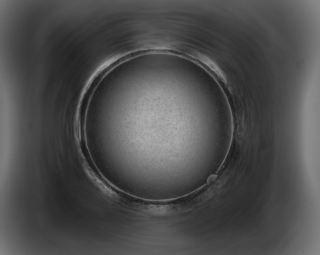 X0000085051080200703051411