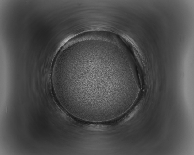 X0000085051081200703051411