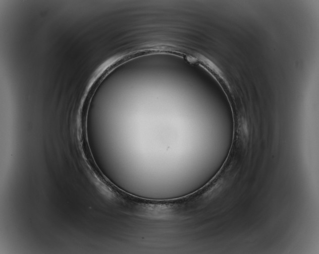 X0000085051082200703051411