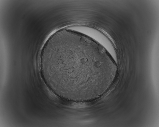 X0000085051083200703051411