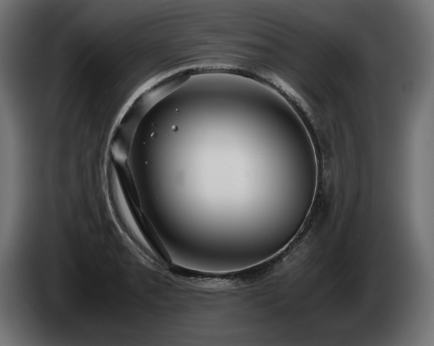 X0000085051085200703051411