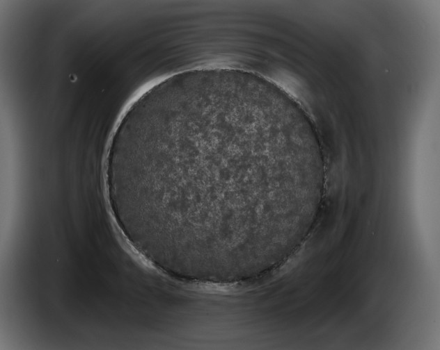 X0000085051086200703051411