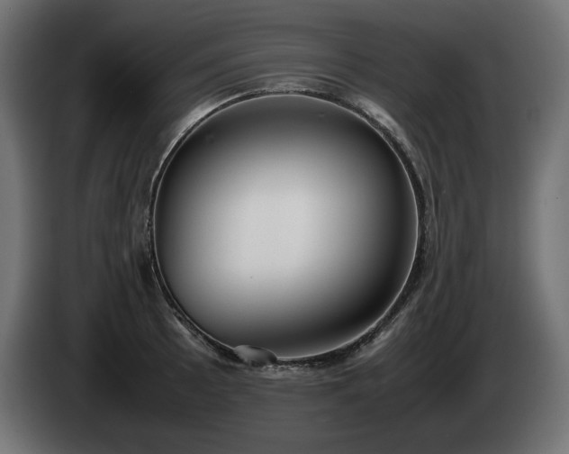 X0000085051089200703051411
