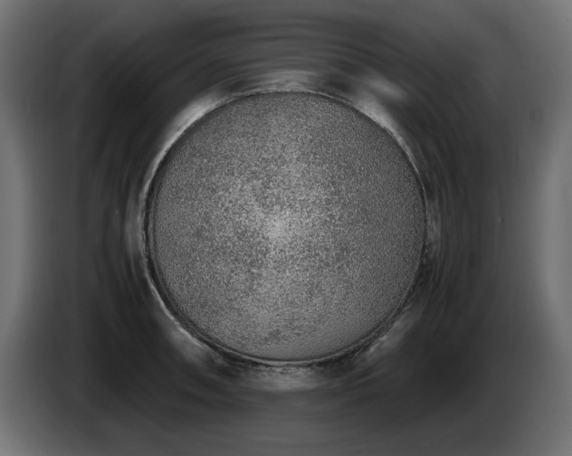 X0000085051090200703051411