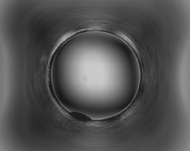 X0000085051093200703051411